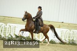 24R13_12456 thumbnail
