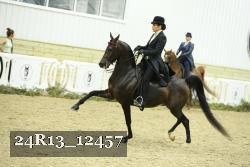 24R13_12457 thumbnail