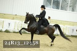 24R13_12458 thumbnail