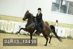 24R13_12459 thumbnail