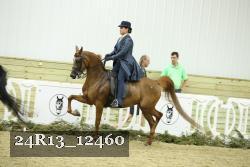 24R13_12460 thumbnail
