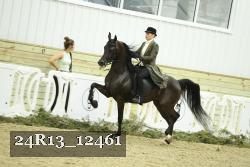 24R13_12461 thumbnail