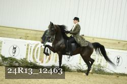 24R13_12463 thumbnail
