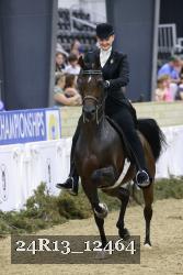 24R13_12464 thumbnail