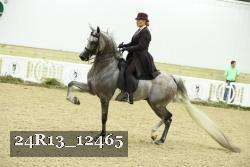 24R13_12465 thumbnail