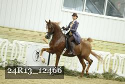 24R13_12466 thumbnail