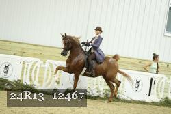 24R13_12467 thumbnail