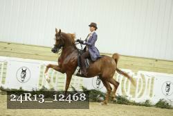 24R13_12468 thumbnail