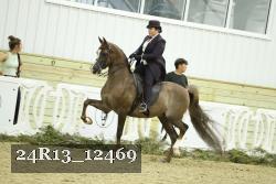 24R13_12469 thumbnail