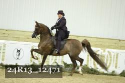 24R13_12471 thumbnail