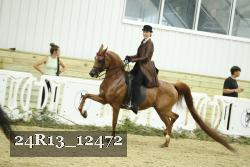 24R13_12472 thumbnail