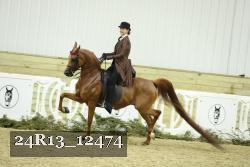 24R13_12474 thumbnail