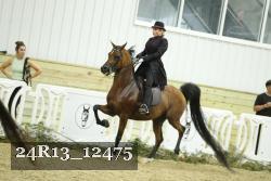 24R13_12475 thumbnail