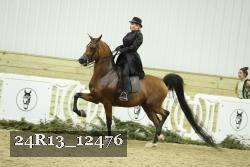 24R13_12476 thumbnail