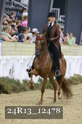 24R13_12478 thumbnail