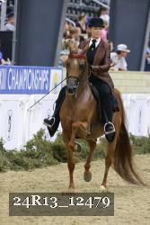 24R13_12479 thumbnail