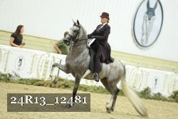 24R13_12481 thumbnail