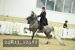 24R13_12482 thumbnail