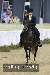 24R13_12483 thumbnail