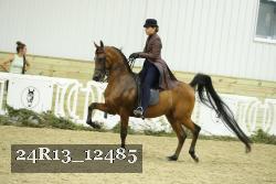 24R13_12485 thumbnail