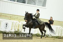24R13_12486 thumbnail