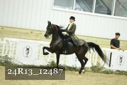 24R13_12487 thumbnail