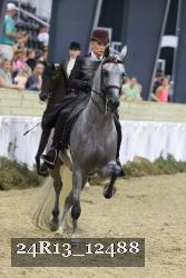 24R13_12488 thumbnail