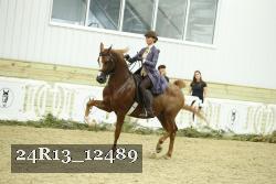 24R13_12489 thumbnail