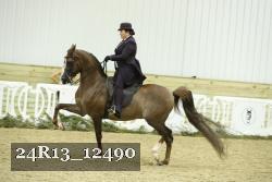 24R13_12490 thumbnail