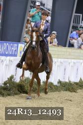24R13_12493 thumbnail