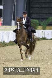 24R13_12494 thumbnail