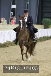 24R13_12495 thumbnail