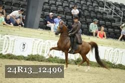 24R13_12496 thumbnail
