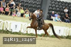 24R13_12497 thumbnail