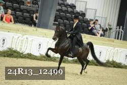 24R13_12499 thumbnail