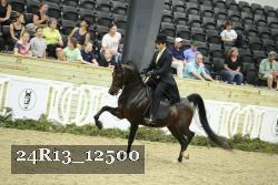 24R13_12500 thumbnail