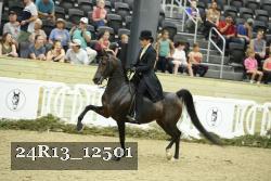 24R13_12501 thumbnail