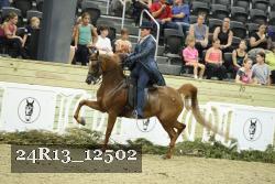 24R13_12502 thumbnail