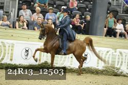 24R13_12503 thumbnail