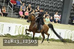 24R13_12505 thumbnail