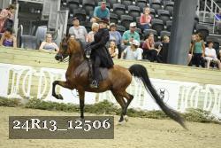 24R13_12506 thumbnail