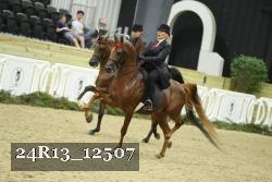 24R13_12507 thumbnail