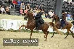 24R13_12508 thumbnail