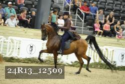 24R13_12509 thumbnail
