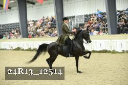 24R13_12514 thumbnail