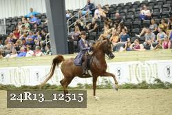 24R13_12515 thumbnail