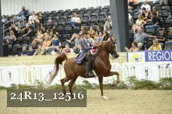 24R13_12516 thumbnail