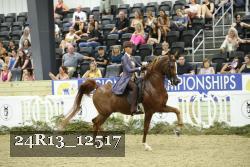 24R13_12517 thumbnail