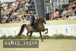 24R13_12518 thumbnail