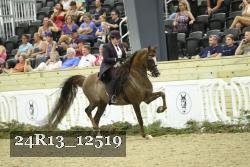24R13_12519 thumbnail